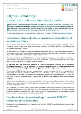 Afemise Miniature Article Fr