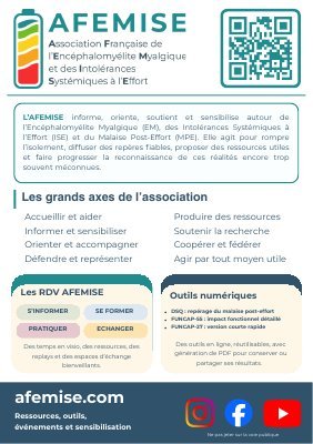 Afemise Miniature Flyer Presentation Provisoire