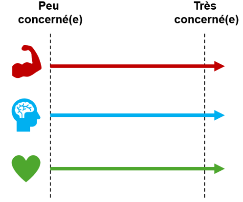 Trois flèches : physique, cognitive et émotionnelle, de très peu concerné à très concerné